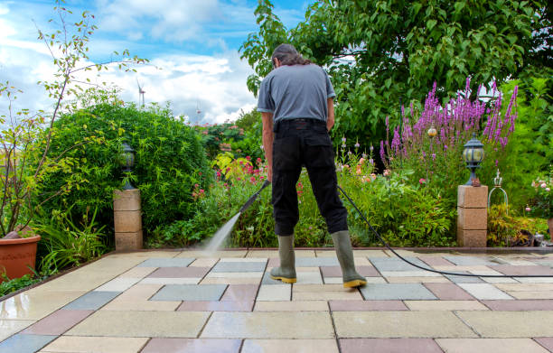 Best Patio and Deck Pressure Washing  in Philmont, NY